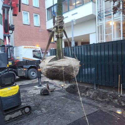 PHOTO-2025-11-26-10-09-15_2